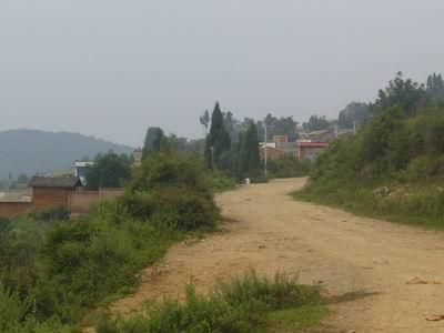 進村道路