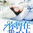 你曾在我心上(勤奮的小狐狸創作的網路小說)