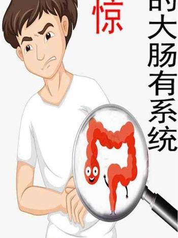 都市：我的大腸有系統