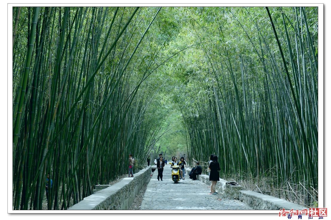 洛陽金門綠竹風情園