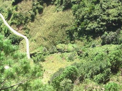 俄嘎村村莊道路