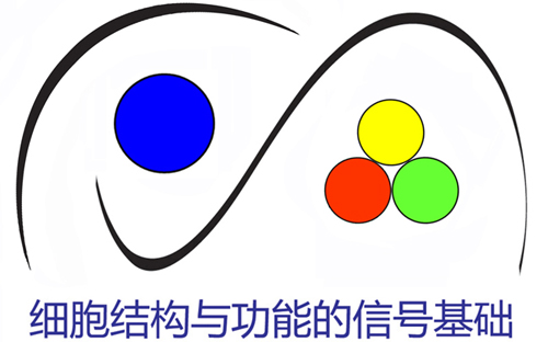 細胞結構與功能的信號基礎研討會