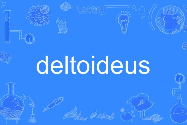 deltoideus