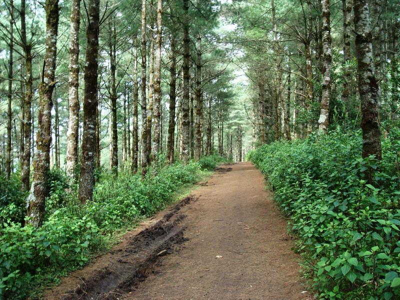 黃河自然村