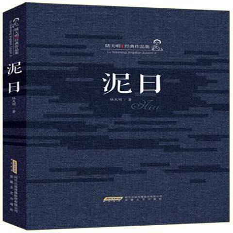 泥日(2015年安徽文藝出版社出版的圖書)