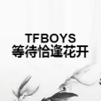 TFBOYS等待恰逢花開