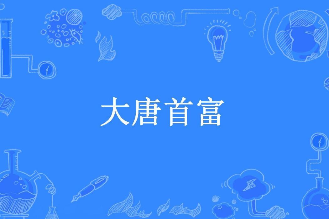 大唐首富(冰鎮南極所著小說)