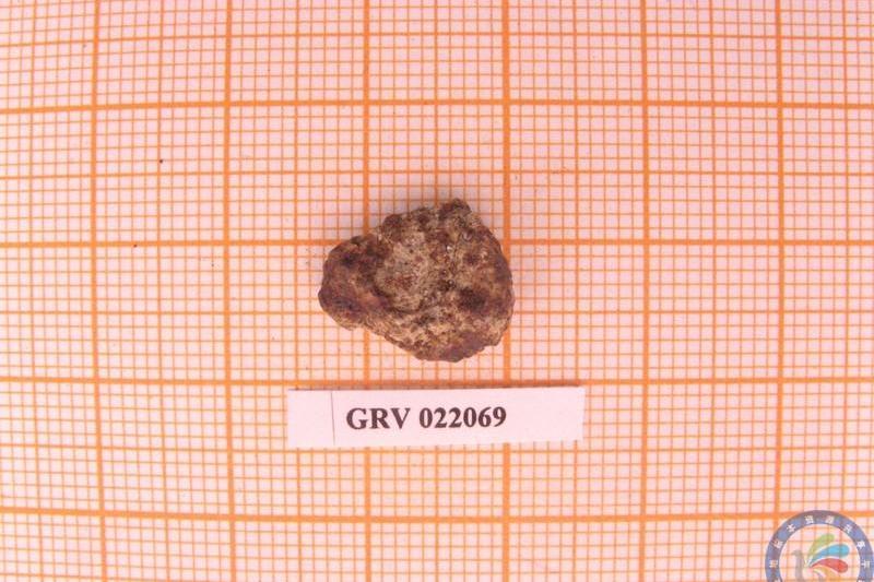 南極隕石GRV022069