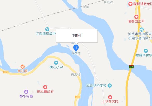 下湖村(廣東潮州市潮安區江東鎮下轄村)