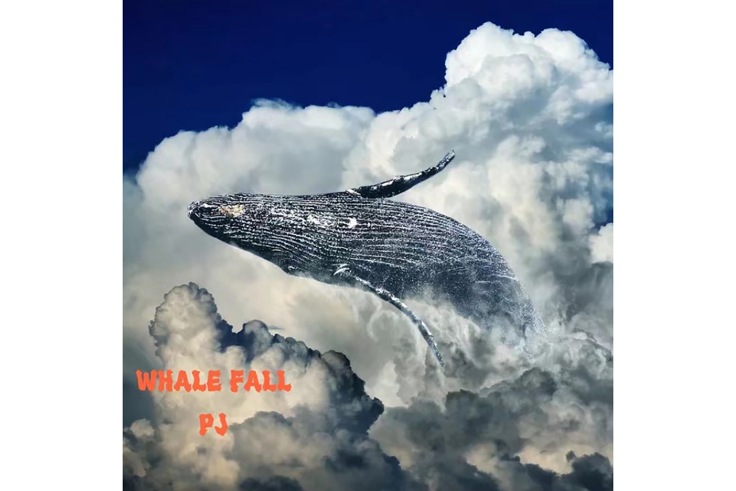 WHALE FALL