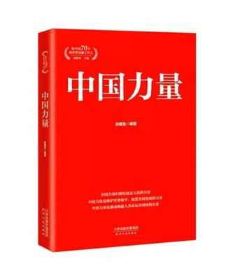 中國力量(天津人民出版社出版的圖書)