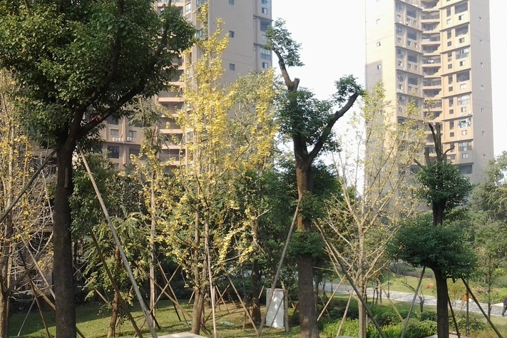 同景國際城香溪邁上