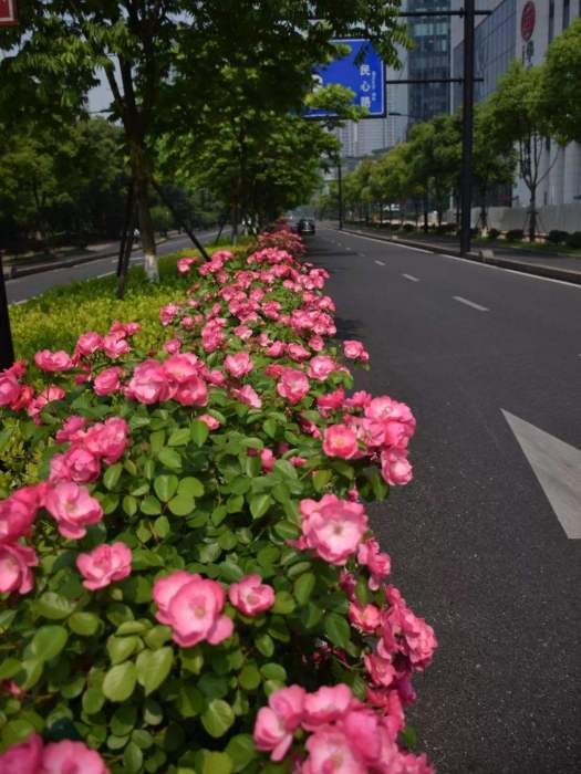 江錦路