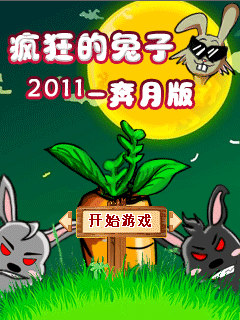 瘋狂的兔子2011