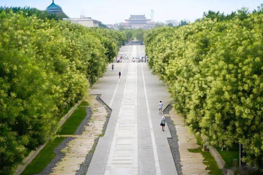 中軸線南段道路遺存