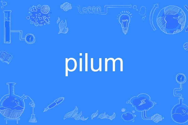 pilum