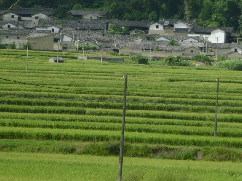 東碑村