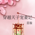 穿越天子寵妻記