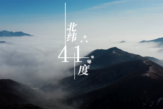 北緯41度