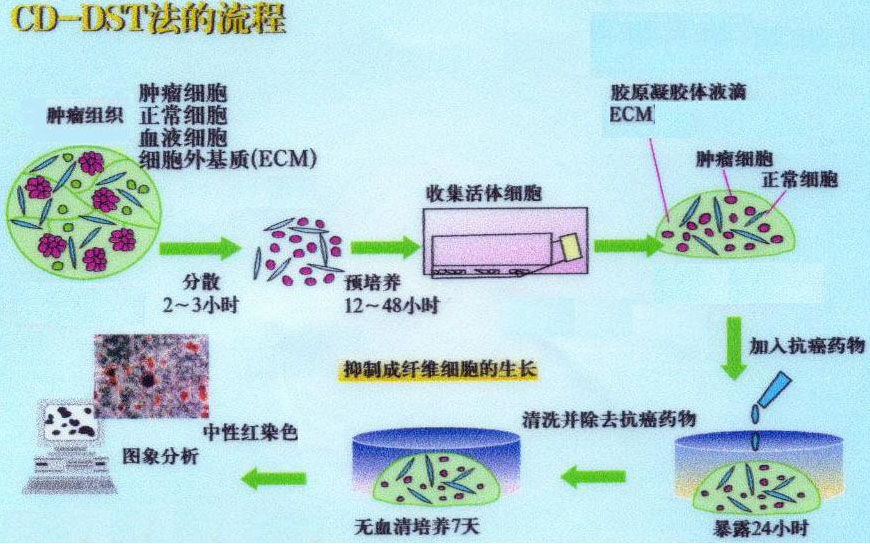 CD-DST治療流程