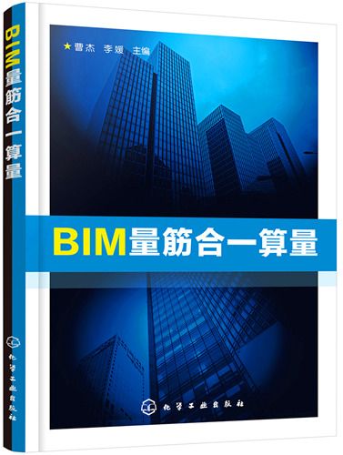 BIM量筋合一算量