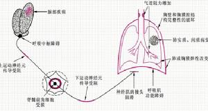 呼吸系統疾病的病理生理