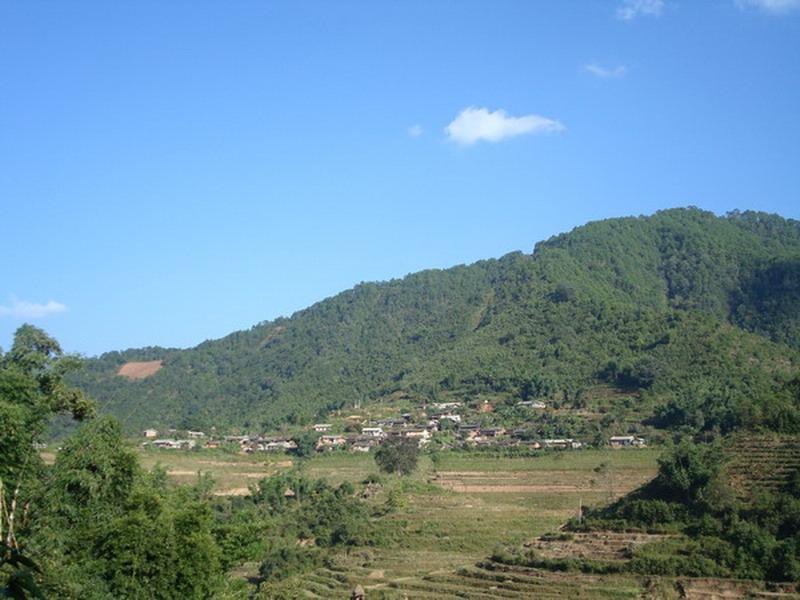 大背陰山自然村