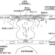 水熱系統