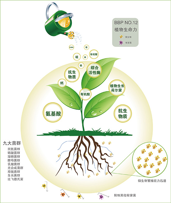 微量元素胺基酸螯合物