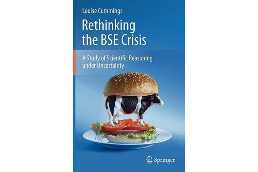 Rethinking the BSE Crisis