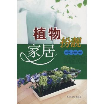 植物扮靚家居