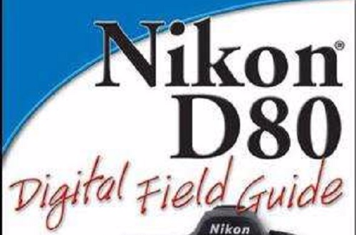 Nikon D80 Digital Field Guide