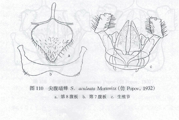 普通照片