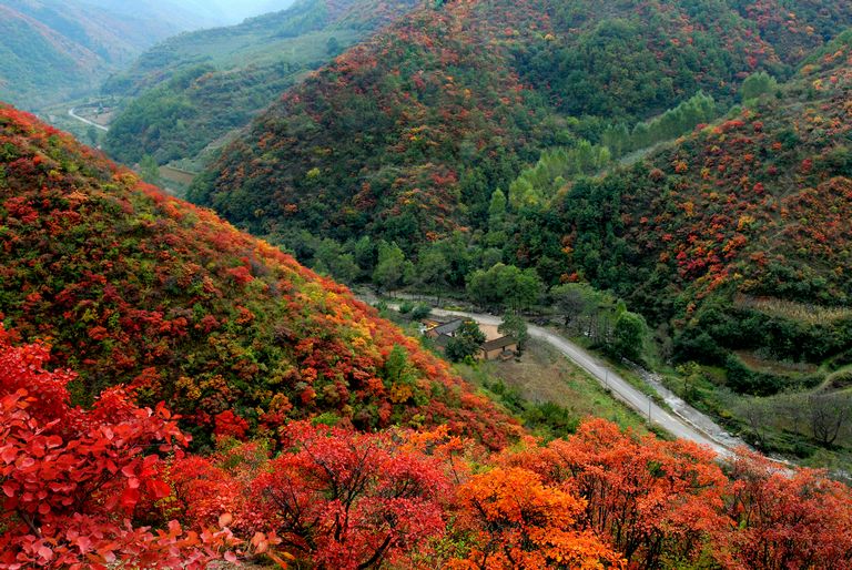 靈寶燕子山