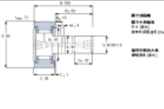 SKF KR90PPA軸承