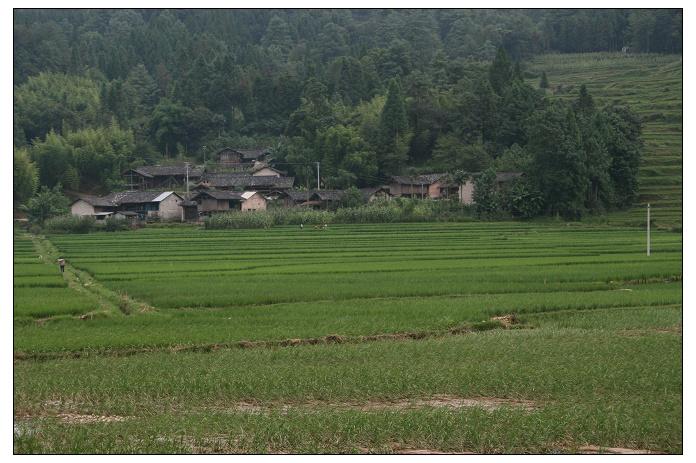 蘇子地村