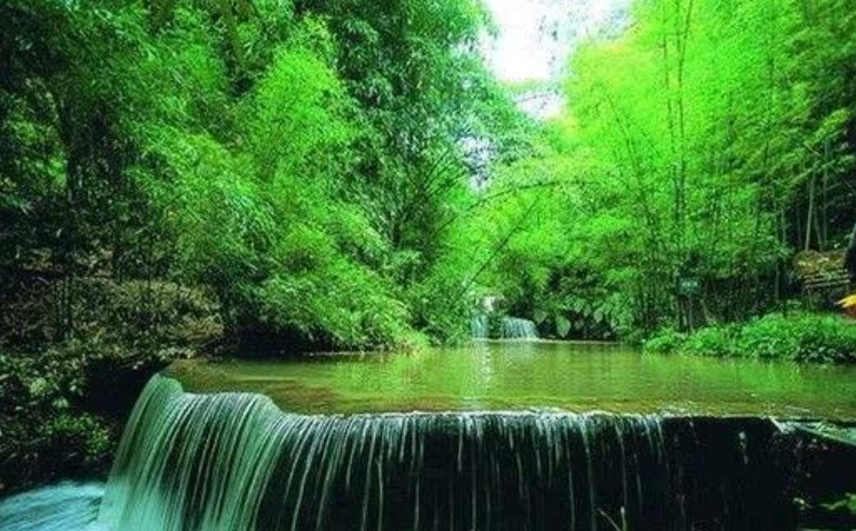 福建廈門蓮花國家森林公園