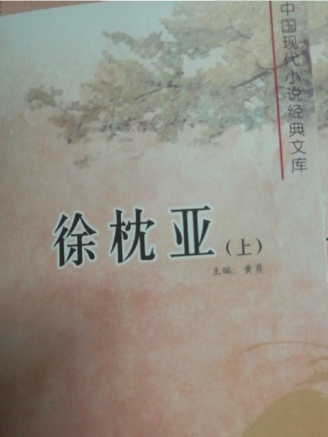 中國現代小說經典文庫(黃勇著圖書)