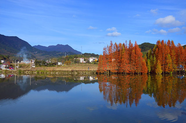 喬亭村(安徽喬亭村)