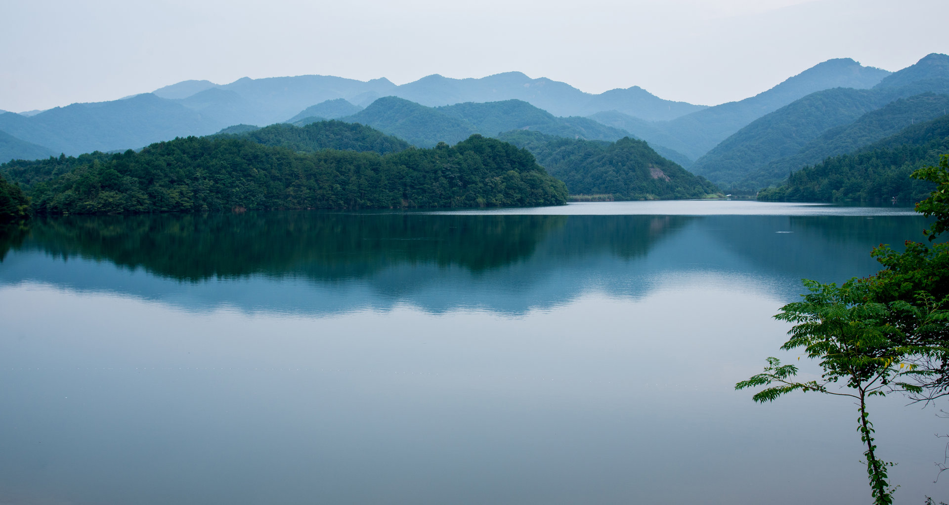 金東區(金東（浙江省金華市轄區）)