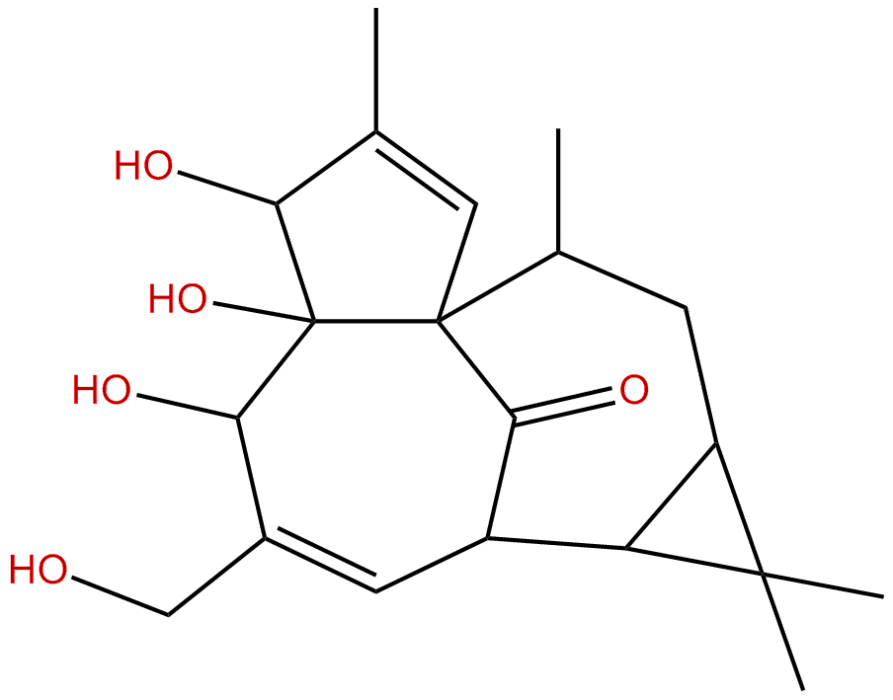 巨大戟醇