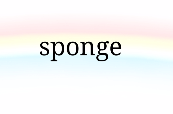 sponge