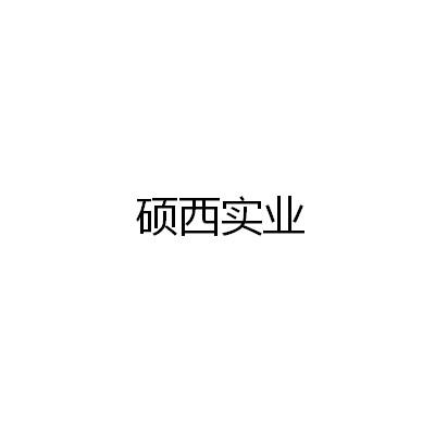 西藏碩西實業有限公司