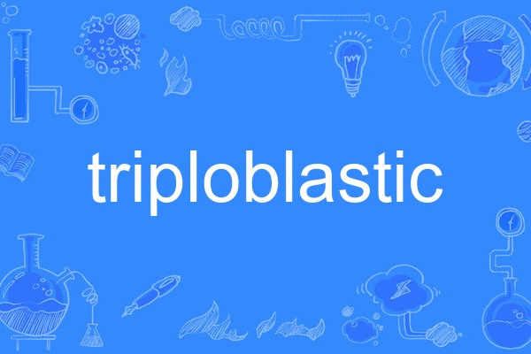 triploblastic