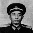 張環(湖南瀏陽籍解放軍將領)