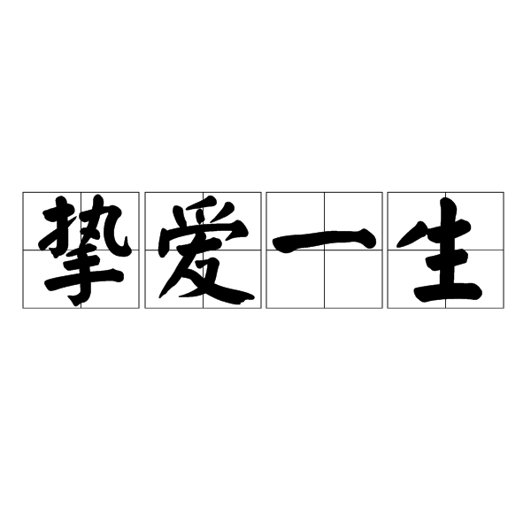 摯愛一生(詞語釋義)