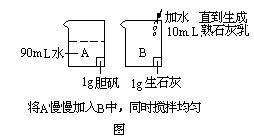 白朵素