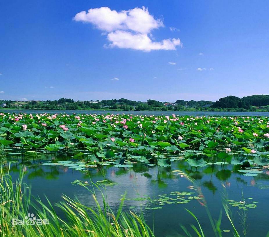 汕頭蓮塘村