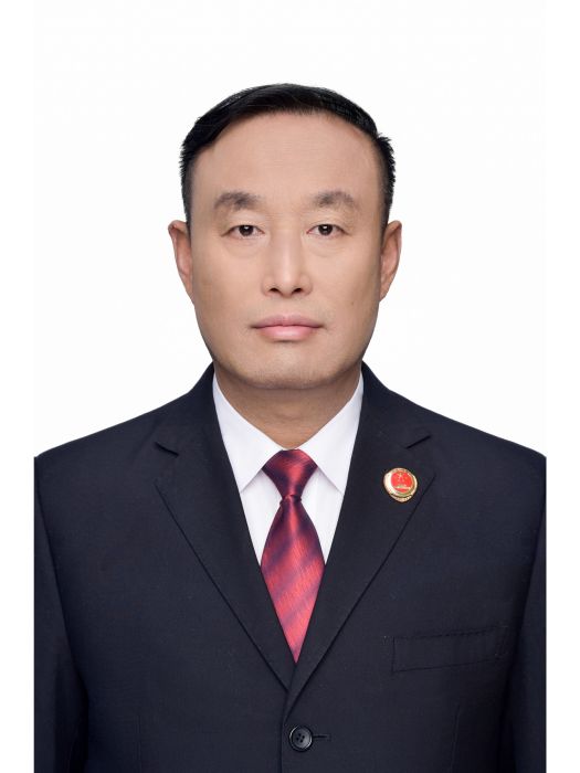 李彤(長春市人民檢察院檢察委員會專職委員)