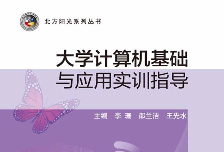 大學計算機基礎與套用實訓指導